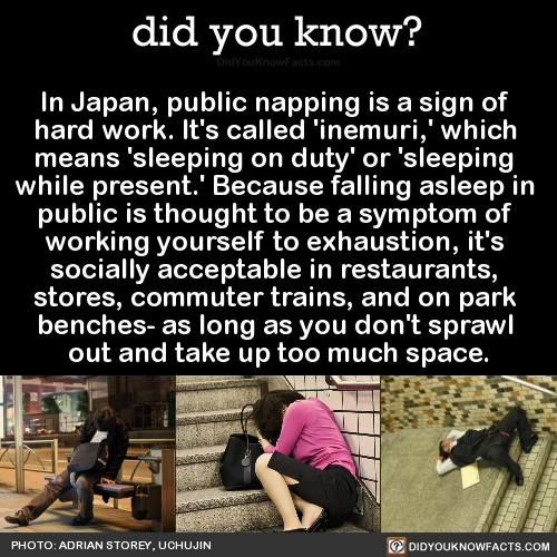 did-you-kno-in-japan-public-napping-is-a-sign-of