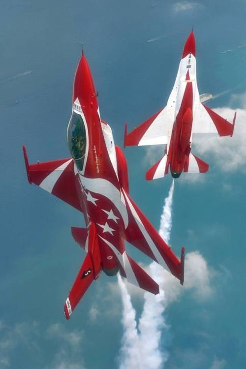 planesawesome - Republic of Singapore Air Force Black Knights...