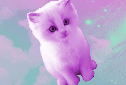  pastel cat on Tumblr