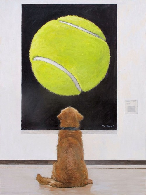 1morep77 - Cute…my dog loves tennis balls..