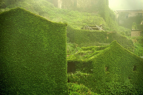 wnq-writers - culturenlifestyle - Abandoned Green Village in...