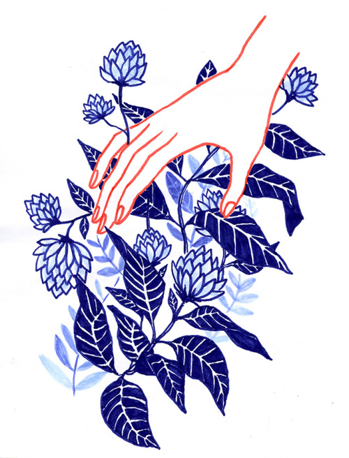 misswallflower:Eloïse Heinzer, “Fleurs bleues”