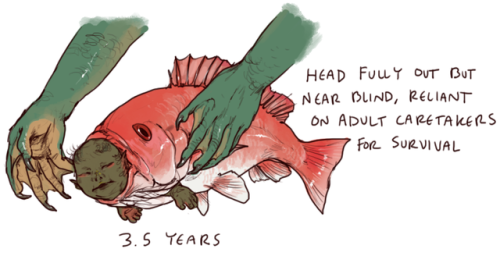 did you know red snapper can live for over 100 years…....