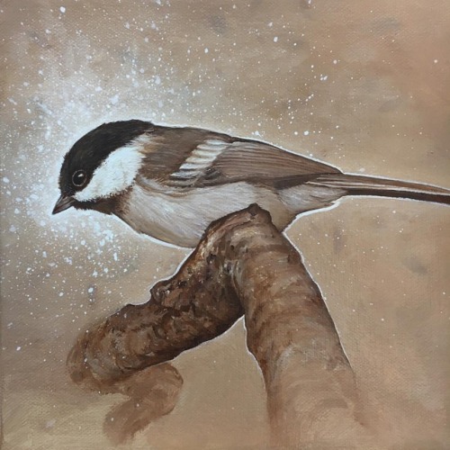 bryanhollandarts - Chickadee, oil on canvas, 8 x 8 inches… think...