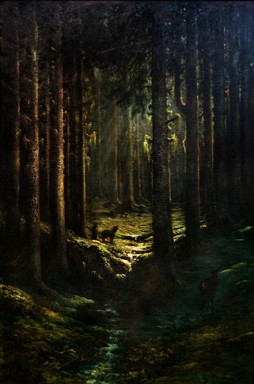runerealms - “The Forest at Twilight” by Gustave Doré.