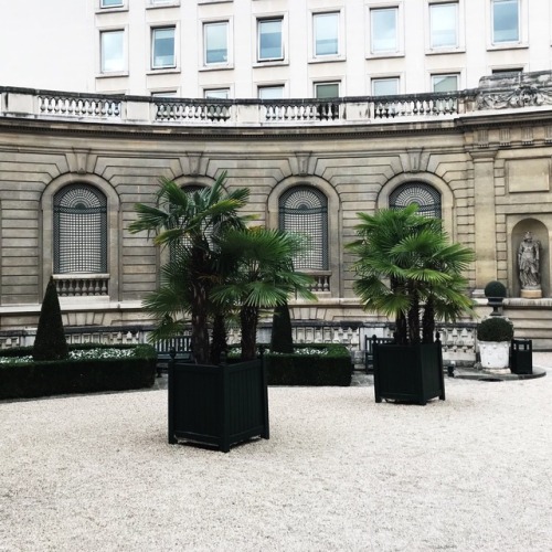 eopederson - Cour d'entrée, Musée Jacquemart-André, Paris, 2017.