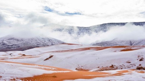 linxspiration - It Snowed In The Sahara Desert And The Pictures...
