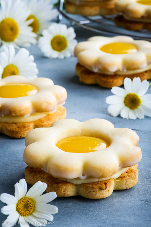 sweetoothgirl - Daisy Lemon Curd Sandwich Cookies