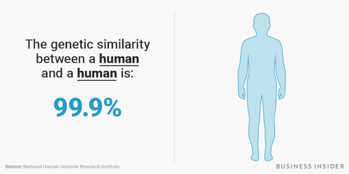 businessinsider - Our DNA is 99.9% the same as the person next...