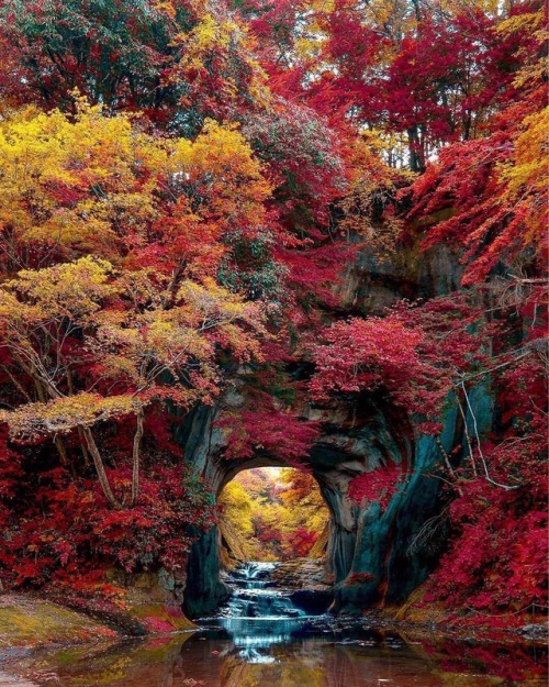 topofreddit - Portal into autumn by Meunderwears via reddit