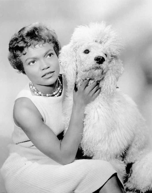 summers-in-hollywood - Eartha Kitt with her poodle Snowball, 1958