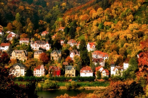 willkommen-in-germany - Autumn in Heidelberg, Baden-Württemberg,...
