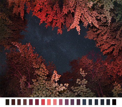 atmosphere-af - greencaleb2 - Nature’s color palettes.yo what...