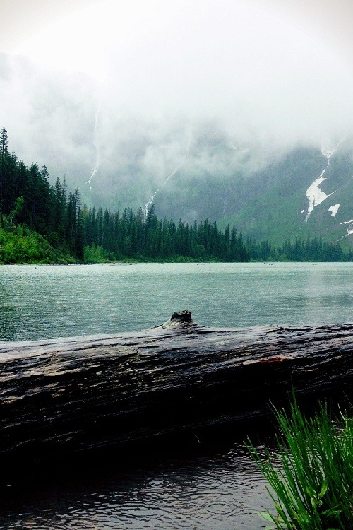 ponderation - Foggy Avalanche Lake by Ryan Ferrian