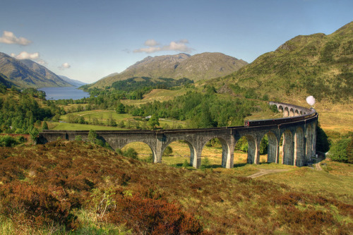 allthingseurope - Glenfinnan viaduct, Scotland (by Teolc Eniger)