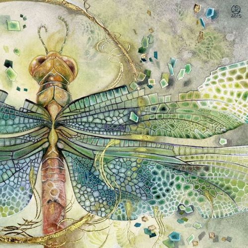 shadowscapes-stephlaw - “Disintegration”From my Insecta...