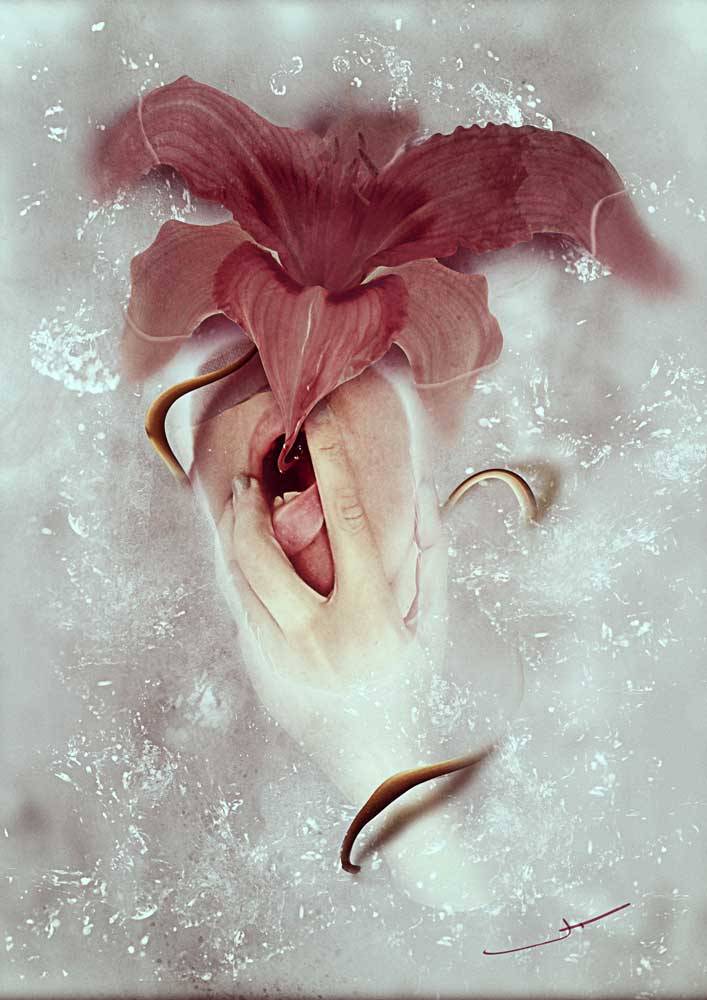 Hemerocallis (flowers self-portrait series) Photomanipulation — Immediately post your art to a topic and get feedback. Join our new community, EatSleepDraw Studio, today!