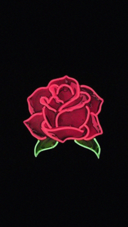red rose  art Tumblr 