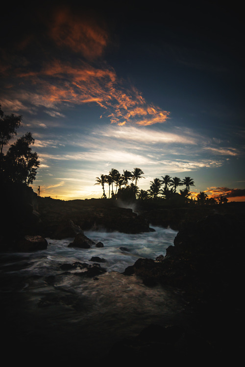 motivationsforlife:Hawaiian Paradise Park by Steve Halama