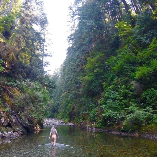 naturalswimmingspirit:victoria_kuzmaI went to the forest to...