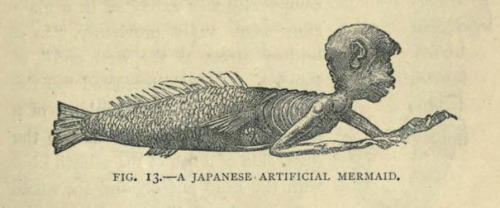 nemfrog - Fig. 13. A Japanese artificial mermaid. Sea monsters...