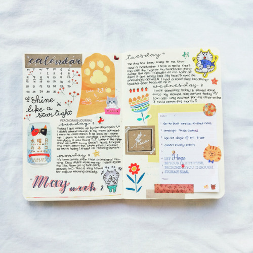 peachdanik-journal - May weekly spread with a cat theme...