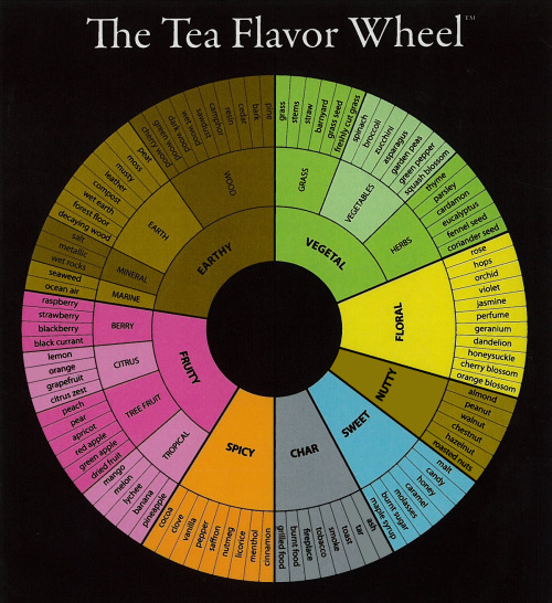 mountaintea - Want to expand your knowledge of tea?  Looking to...