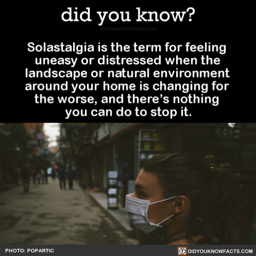 solastalgia-is-the-term-for-feeling-uneasy-or