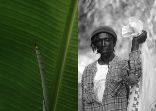 kwesiabbensettsstudio - Jamaica Juxtaposed by Kwesi Abbensetts
