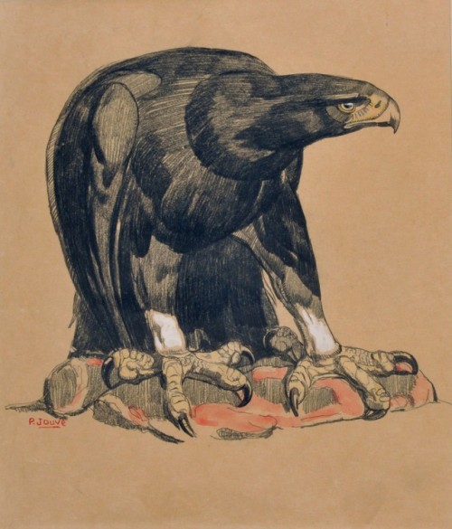heartbeat-of-leafy-limbs - PAUL JOUVE Eagle [early 20th century]