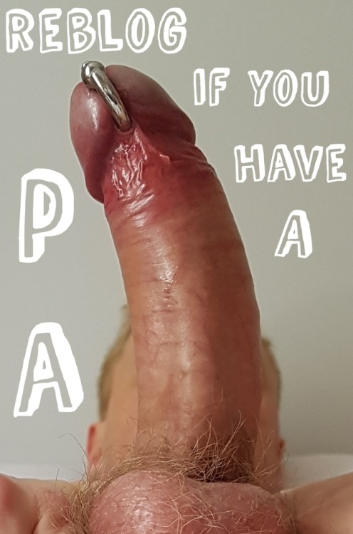piercedcockhead - princealbertsbriefs - This is my cock and I’m...