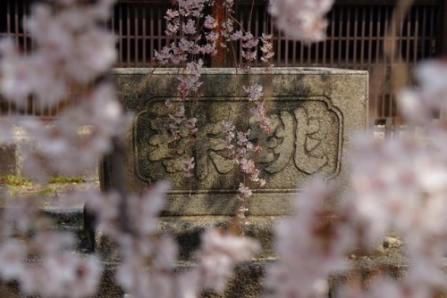 chitaka45 - 京都 立本寺 
