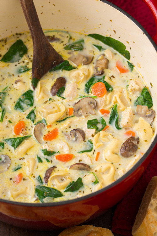 guardians-of-the-food - Creamy Chicken Spinach and Mushroom...