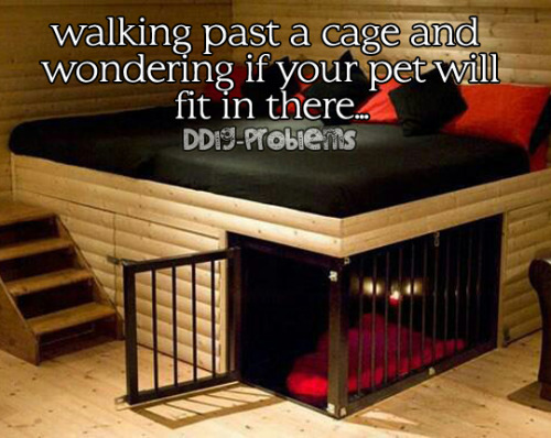 ddlg-problems - DDlg Problem #15 -  Walking past a cage and...