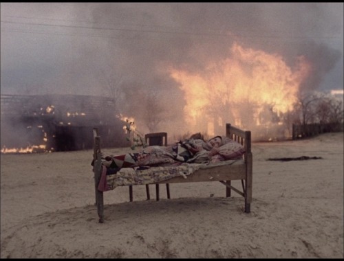 violetncend - Come and See (1985). Dir. Elem Klimov.