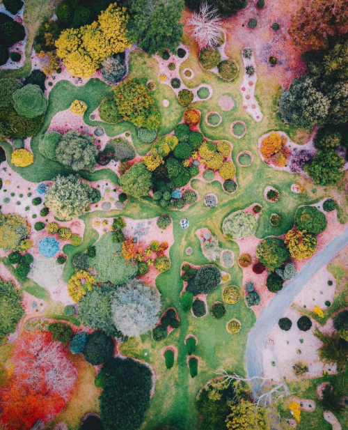 dailyoverview:Check out this awesome drone shot of the Botanical...