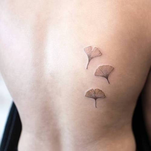 By Ilwol Hongdam, done in Seoul. http://ttoo.co/p/30623 tree;small;ginkgo leaf;single needle;leaf;back;hongdam;tiny;ifttt;little;nature;ginkgo
