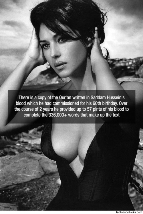 wastetheday - Monica Bellucci and the Fact of the Day