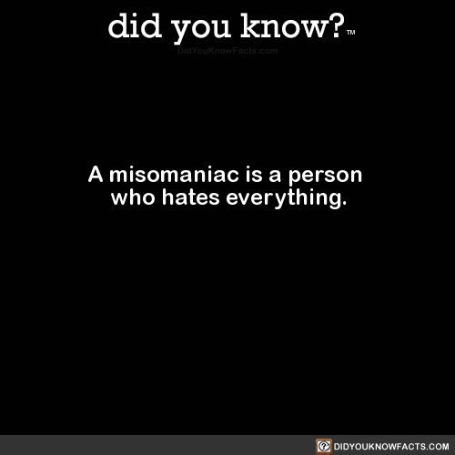 a-misomaniac-is-a-person-who-hates-everything
