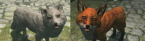 camkitty2 - Better Foxes - Model Replacer for Skyrim