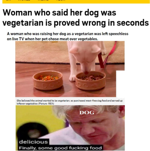 libertarirynn - goatyellsateverything - Dogs are NOT vegetarian...