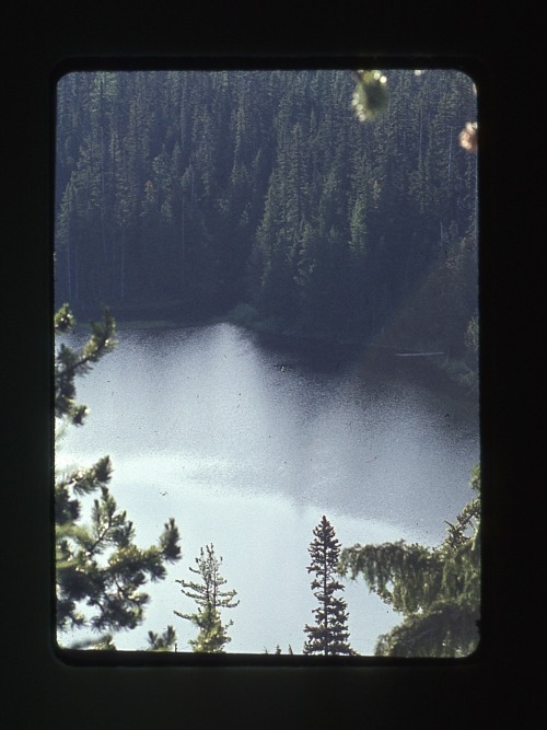 slideofthetimes:July 1968 // lake // Oregon