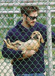 gyllenhaal-addict - Jake holding dogs wrong