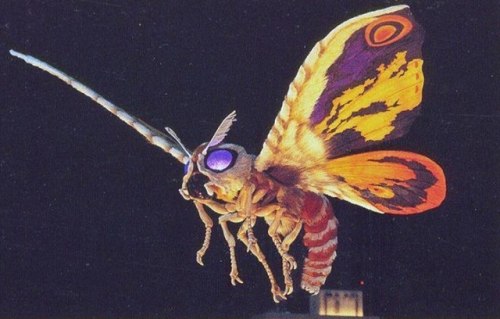 thefreakyfader - Reblog if you love Mothra