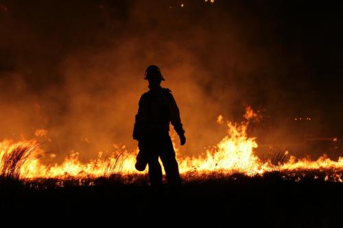 verdigris113 - Wildland firefighters in California.