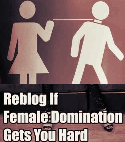 mistressaliceinbondageland - Reblog if Female Domination gets...