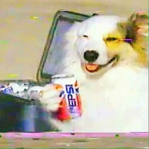 cnoonr:urgent news, i have found another pepsi dog