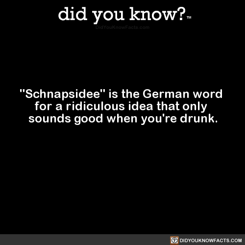 schnapsidee-is-the-german-word-for-a-ridiculous