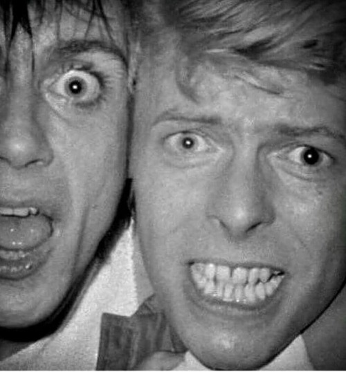 icky-pop - Iggy Pop & David Bowie