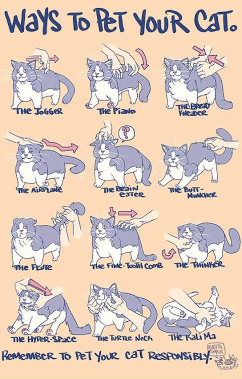 the-last-hair-bender - srsfunny - How To Pet Your...